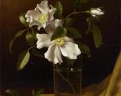 Cherokee Roses in a Glass on Gold Velvet Plush - 马丁·约翰逊·赫德
